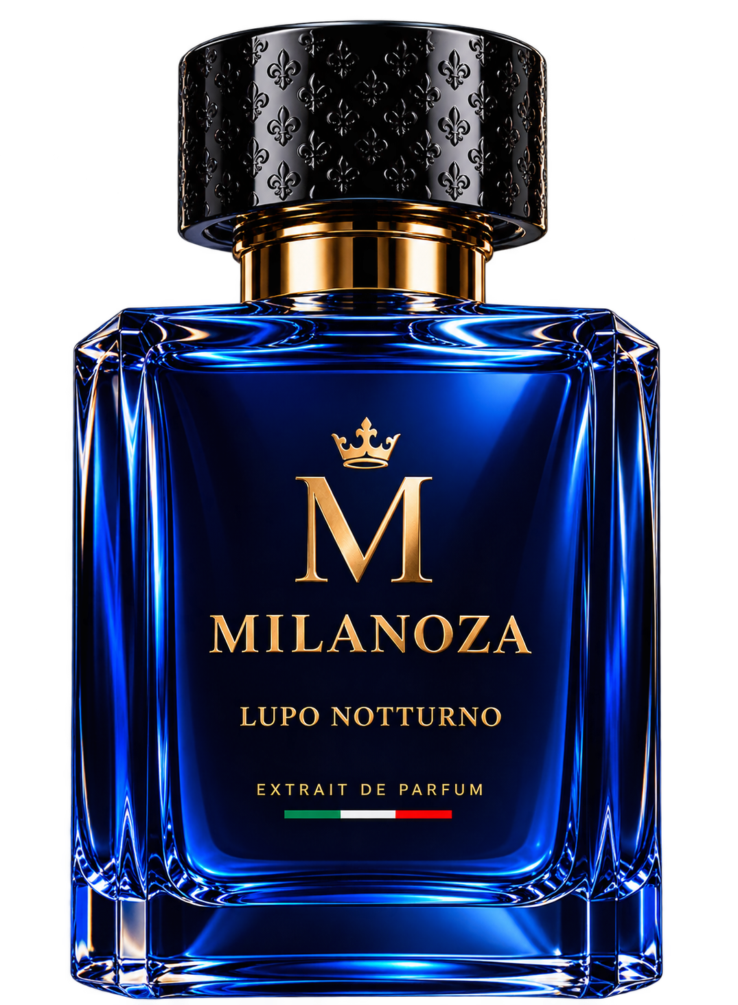 Lupo Notturno